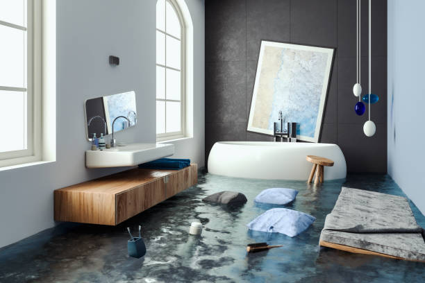 Best Local water damage restoration  in Braddock Heights, MD
