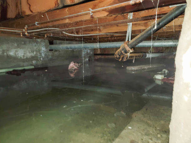 Best Flooded house restoration  in Braddock Heights, MD