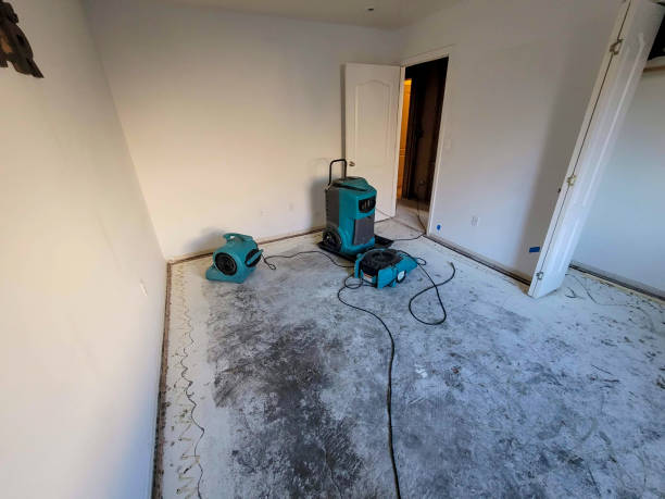 Best 24-hour water damage restoration  in Braddock Heights, MD