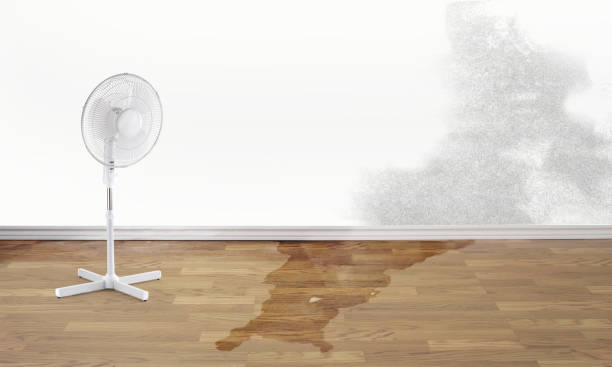 Best Sewage cleanup and water damage restoration  in Braddock Heights, MD