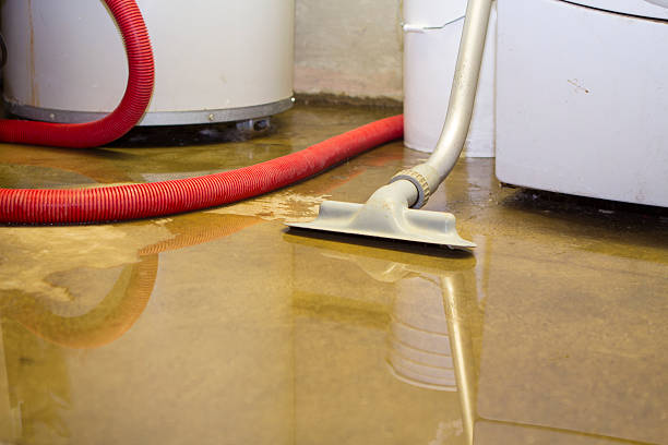 Best 24/7 water damage repair  in Braddock Heights, MD