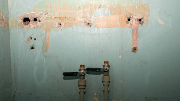 Best Water damage contractors near me  in Braddock Heights, MD