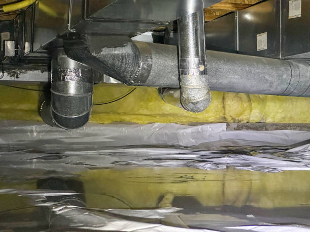 Best Water damage mitigation services  in Braddock Heights, MD