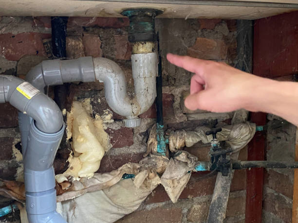 Best Ceiling water damage repair  in Braddock Heights, MD