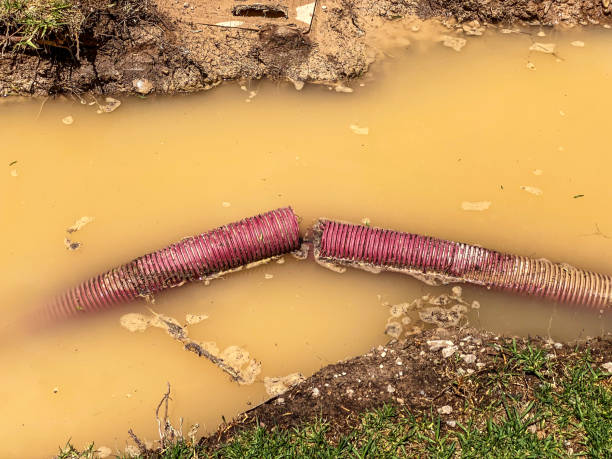 Best Mold removal after water damage  in Braddock Heights, MD