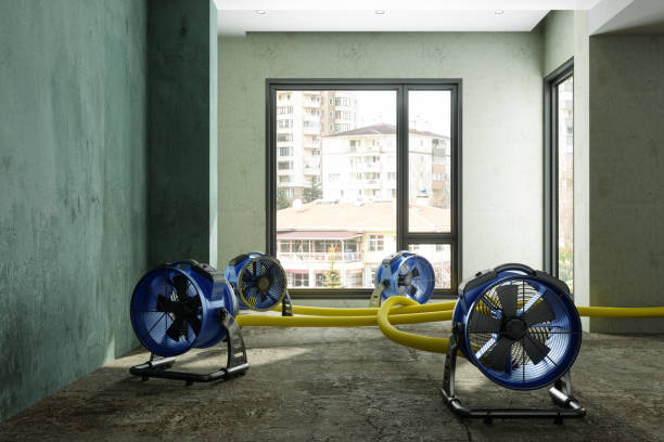 Best Basement water damage restoration  in Braddock Heights, MD