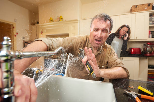 Best Flood damage cleanup  in Braddock Heights, MD